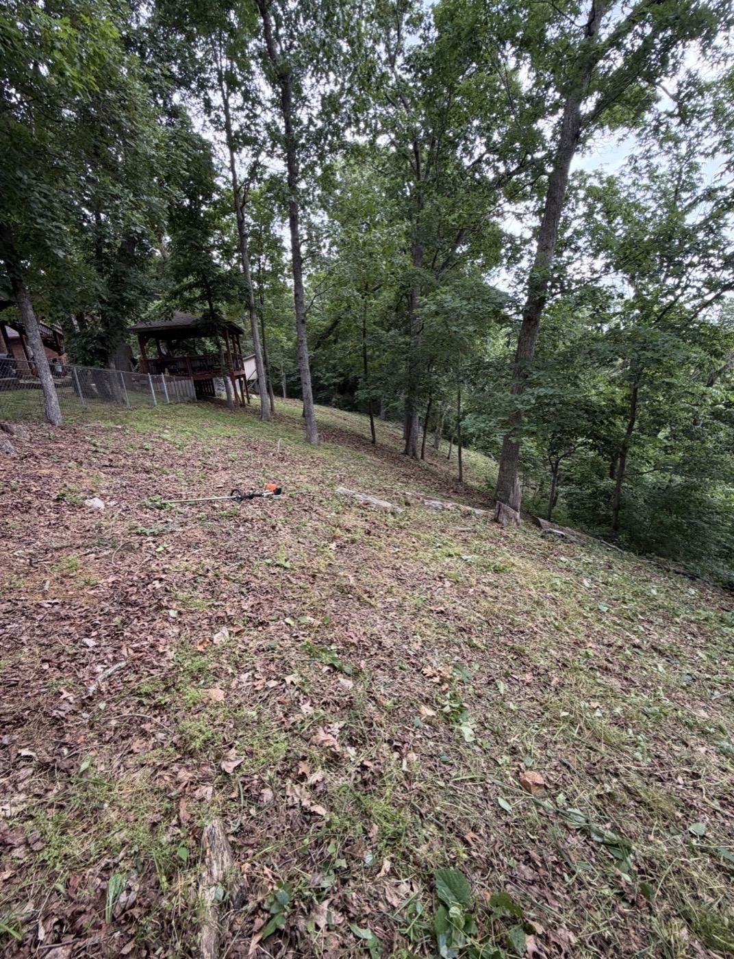 Wooded hillside cleanup after Pebble Creek's work