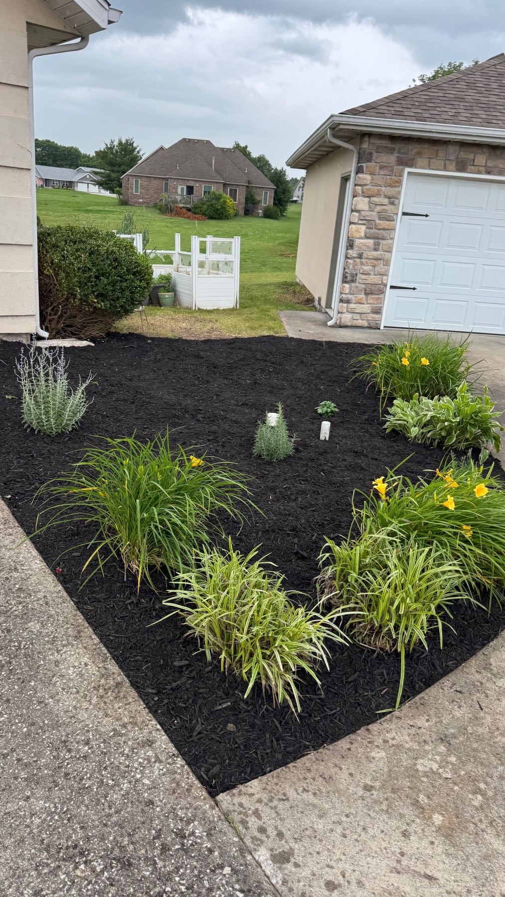 Fresh landscape bed