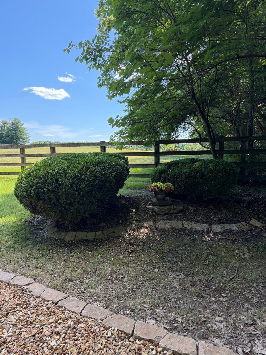Pebble Creek landscaping and property-care project 13