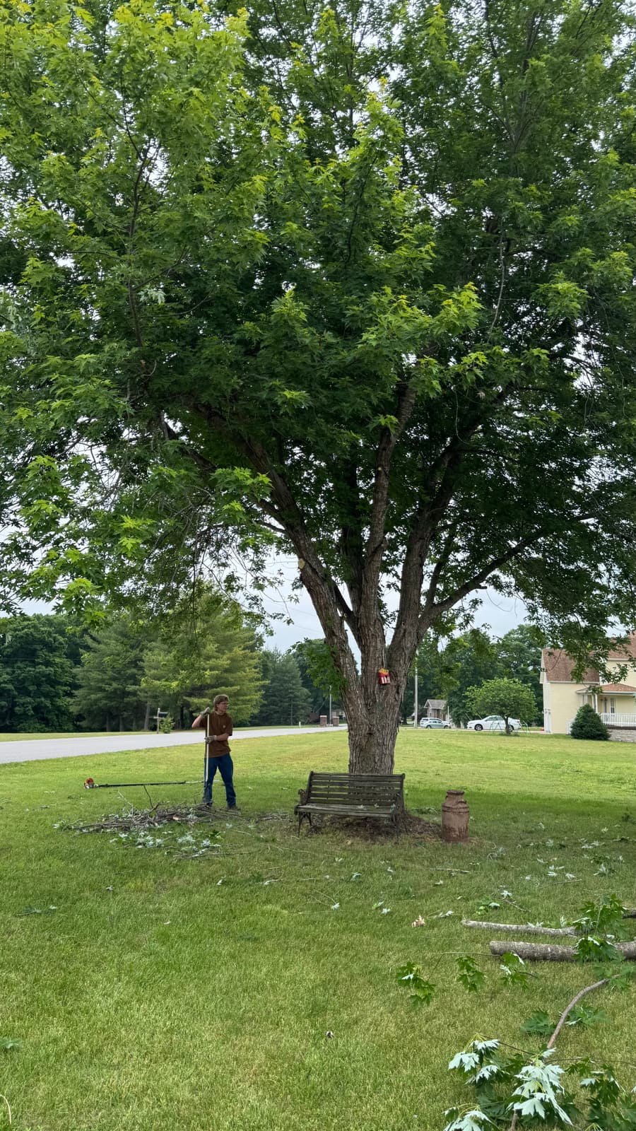 Pebble Creek landscaping and property-care project 17