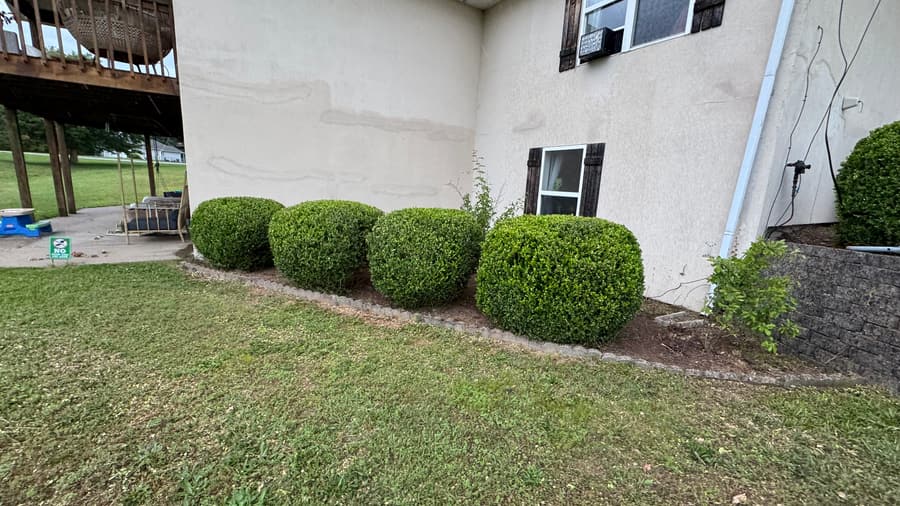 Pebble Creek landscaping and property-care project 4