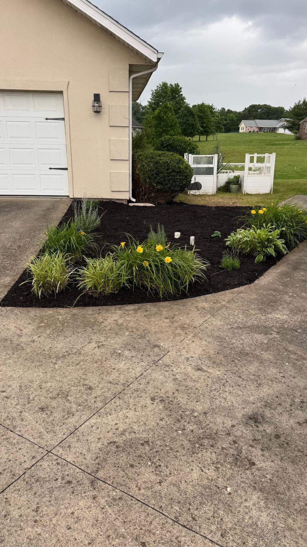 Overgrown landscape restoration after Pebble Creek's work